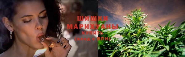трава Гусиноозёрск