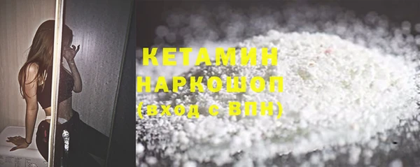 трава Гусиноозёрск