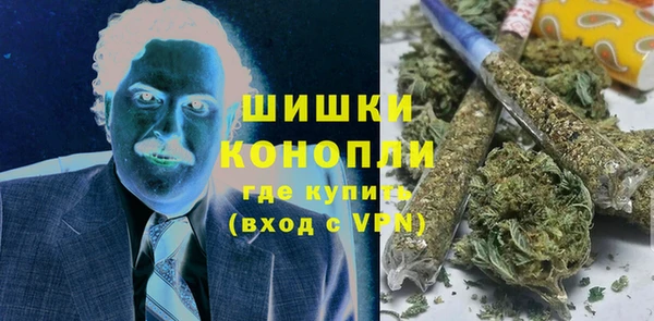 трава Гусиноозёрск