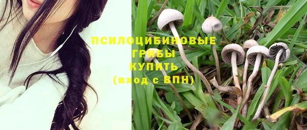 каннабис Горнозаводск