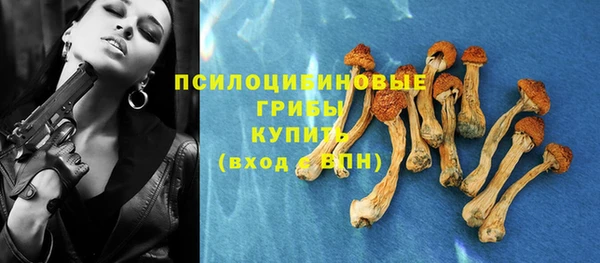трава Гусиноозёрск