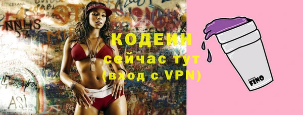 хмурый Горно-Алтайск